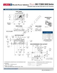 OKI-T/36W-W40P-C Datasheet Page 3