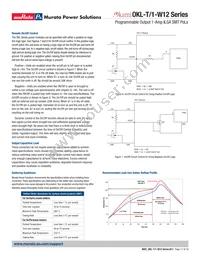 OKL-T/1-W12P-C Datasheet Page 17