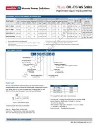 OKL2-T/3-W5N-C Datasheet Page 2