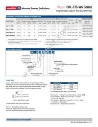 OKL2-T/6-W5N-C Datasheet Page 2