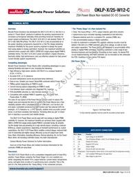 OKLP-X/25-W12-C Datasheet Page 15