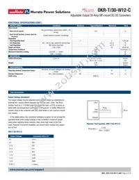 OKR-T/30-W12-C Datasheet Page 4