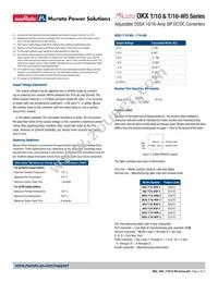 OKX2-T/16-W5N-C Datasheet Page 4