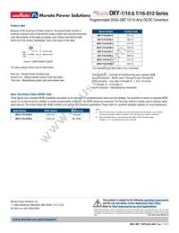 OKY2-T/10-D12N-C Datasheet Page 17