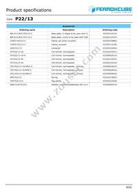 P22/13-3C91 Datasheet Page 2