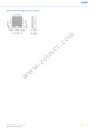 P250F Datasheet Page 3