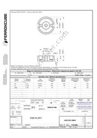 P26/16-3F3 Datasheet Page 3