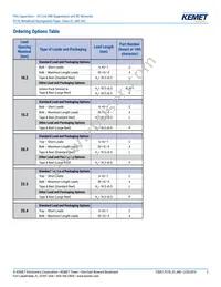 P278HE102M480A Datasheet Page 2