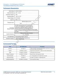 P278HE102M480A Datasheet Page 4