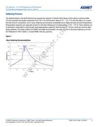 P278HE102M480A Datasheet Page 6