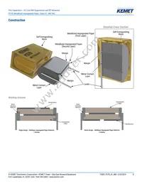 P278HE102M480A Datasheet Page 8