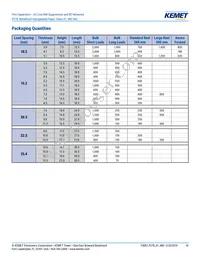 P278HE102M480A Datasheet Page 10