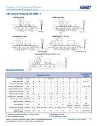 P278HE102M480A Datasheet Page 11
