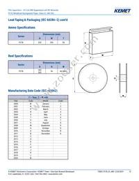 P278HE102M480A Datasheet Page 12