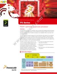 P3041NXN1PNB Datasheet Cover