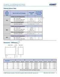 P410EE104M300AH101 Datasheet Page 2