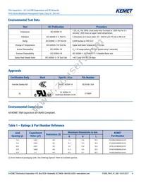 P410EE104M300AH101 Datasheet Page 4