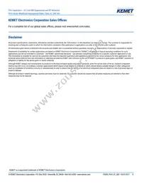 P410EE104M300AH101 Datasheet Page 11