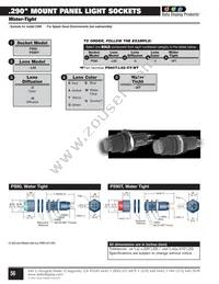 P84W-G60H-CG Datasheet Page 21