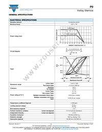 P9A2R100FISX1503MA Datasheet Page 2