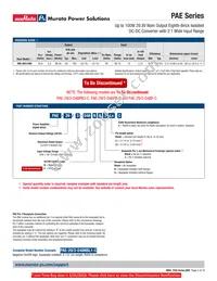 PAE-29/3-D48PB3-C Datasheet Page 2