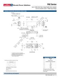 PAE-29/3-D48PB3-C Datasheet Page 10