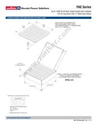 PAE-29/3-D48PB3-C Datasheet Page 12