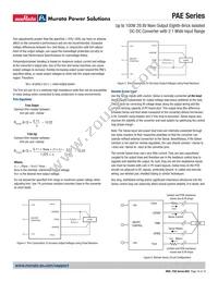 PAE-29/3-D48PB3-C Datasheet Page 16