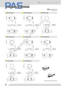 PAS409HR-VA5R Datasheet Page 8