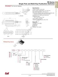 PB1KG0A2FXNS Datasheet Page 7