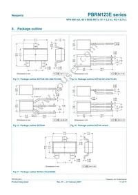 PBRN123ES Datasheet Page 11