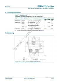 PBRN123ES Datasheet Page 12