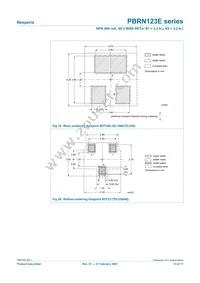 PBRN123ES Datasheet Page 13