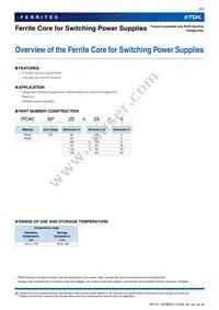 PC95SP100X100X5 Datasheet Page 3