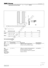 PE0612FKF070R01L Datasheet Page 9