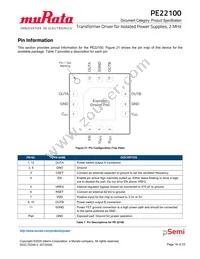 PE22100A-X Datasheet Page 18