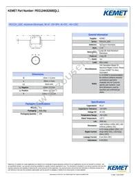 PEG124KB2680QL1 Datasheet Cover