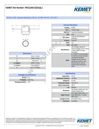 PEG124KC322AQL1 Datasheet Cover