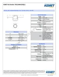 PEG124MA2220QL1 Datasheet Cover