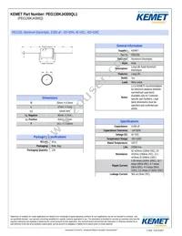 PEG130KJ4300QL1 Datasheet Cover