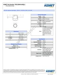 PEG130MJ4140QL1 Datasheet Cover