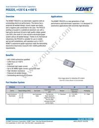 PEG225KF4120ME1 Datasheet Cover