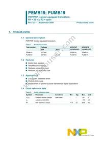 PEMB19 Datasheet Page 2