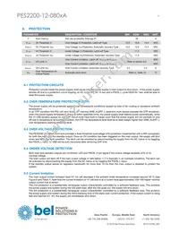 PES2200-12-080NA Datasheet Page 9