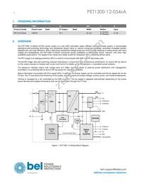 PET1300-12-054NAE Datasheet Page 2