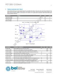 PET1300-12-054NAE Datasheet Page 13