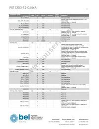 PET1300-12-054NAE Datasheet Page 21