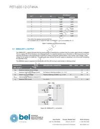 PET1600-12-074NA Datasheet Page 17