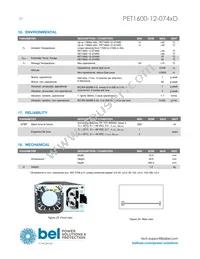 PET1600-12-074RD Datasheet Page 20