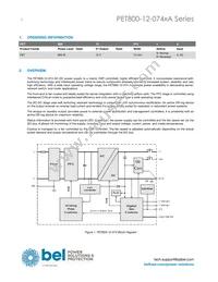 PET800-12-074RA Datasheet Page 2